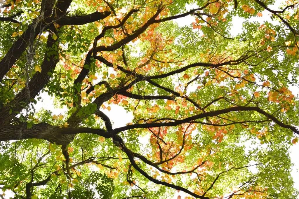 春困秋乏？别把慢性疲劳当秋乏！5招重拾活力&rarr;