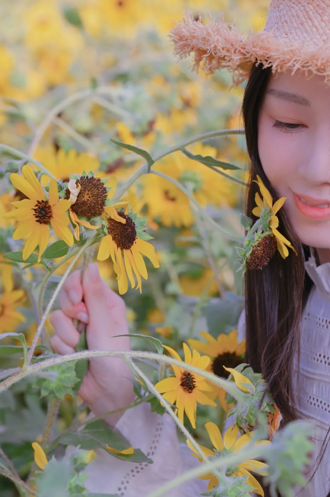 向日葵花田即将闪亮登场，&ldquo;笑&rdquo;迎国庆｜ 文化西遊
