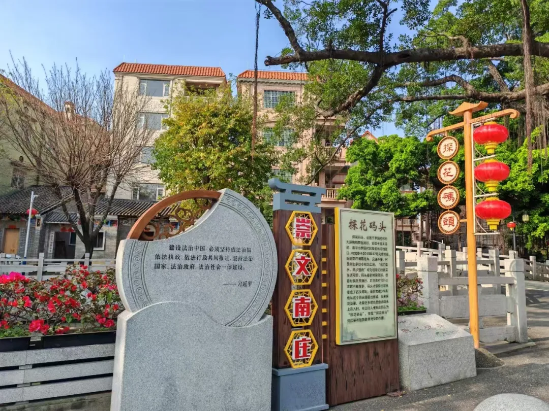 感受水美佛山具象化，一起看&ldquo;实况版&rdquo;南庄水乡！