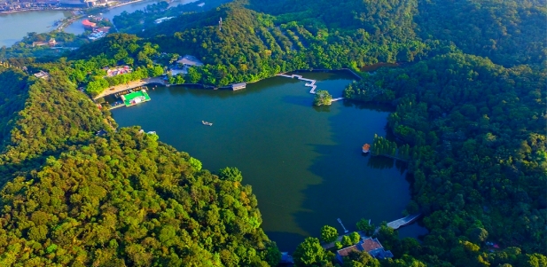 登高望远，去佛山绝美天然氧吧！