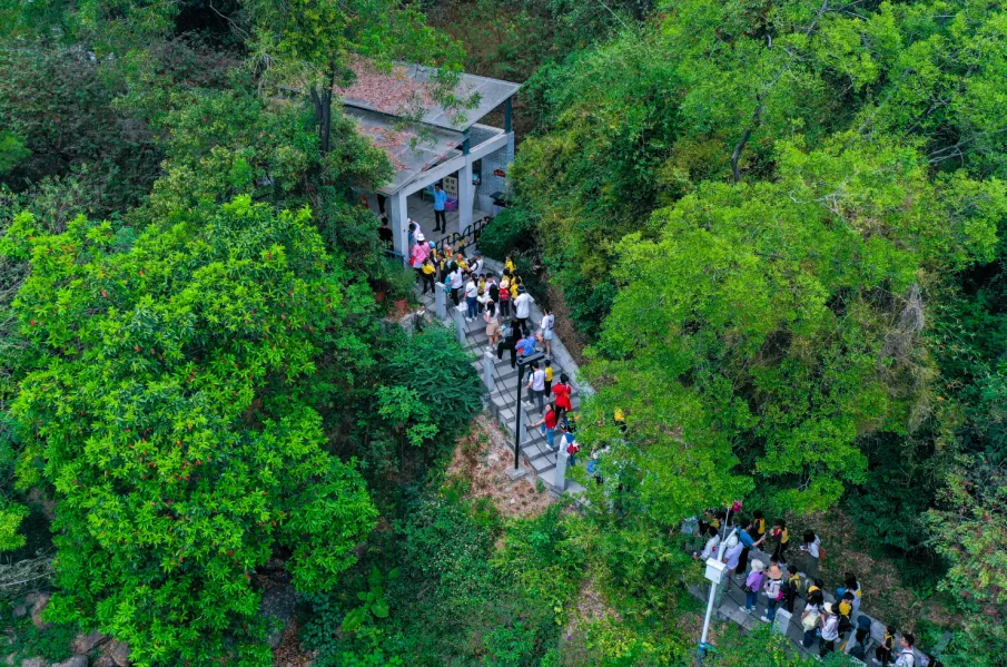 秋日吸氧！佛山徒步爬山好去处，免票
