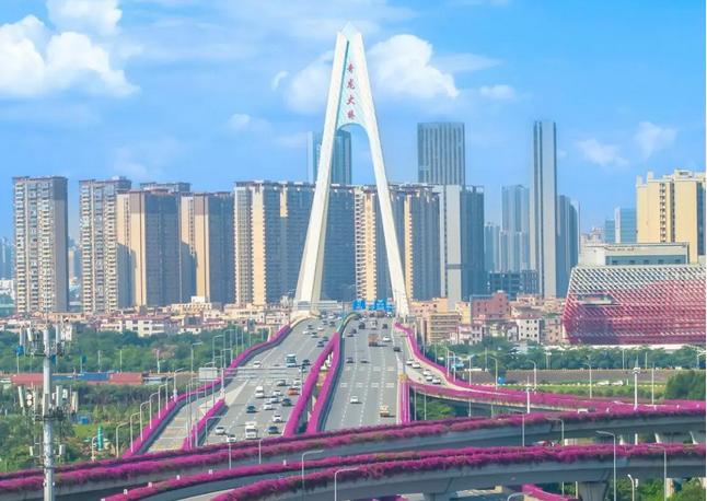 空中花廊&rdquo;惊艳上线！快来邂逅繁花似锦的三龙湾~