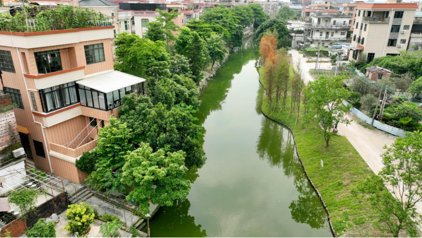 公园20分钟，被顺德的&ldquo;水&rdquo;治愈了！