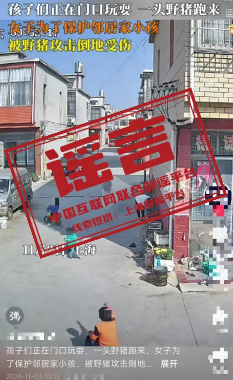 上海市郊发生&ldquo;野猪攻击人&rdquo;事件？