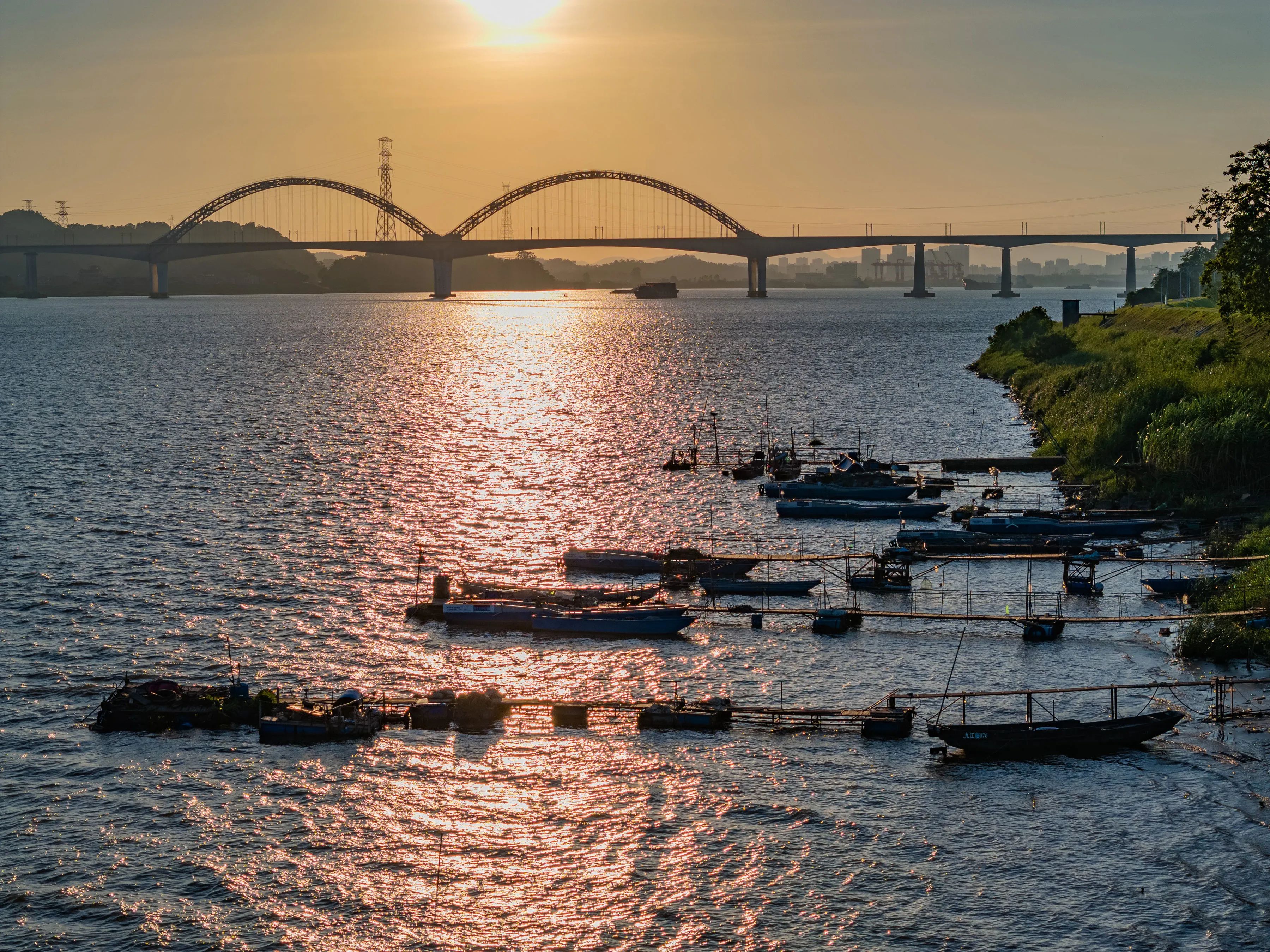 秋风起，在佛山吃遍河鲜！本地人推荐