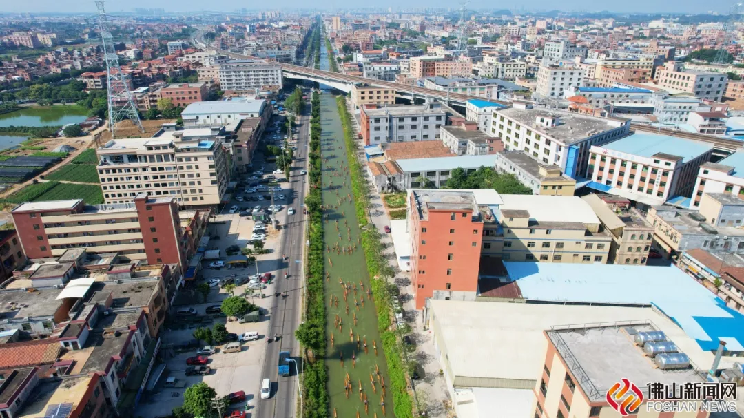 黑涌变靓河！&ldquo;群龙&rdquo;竞逐丹灶大洲河