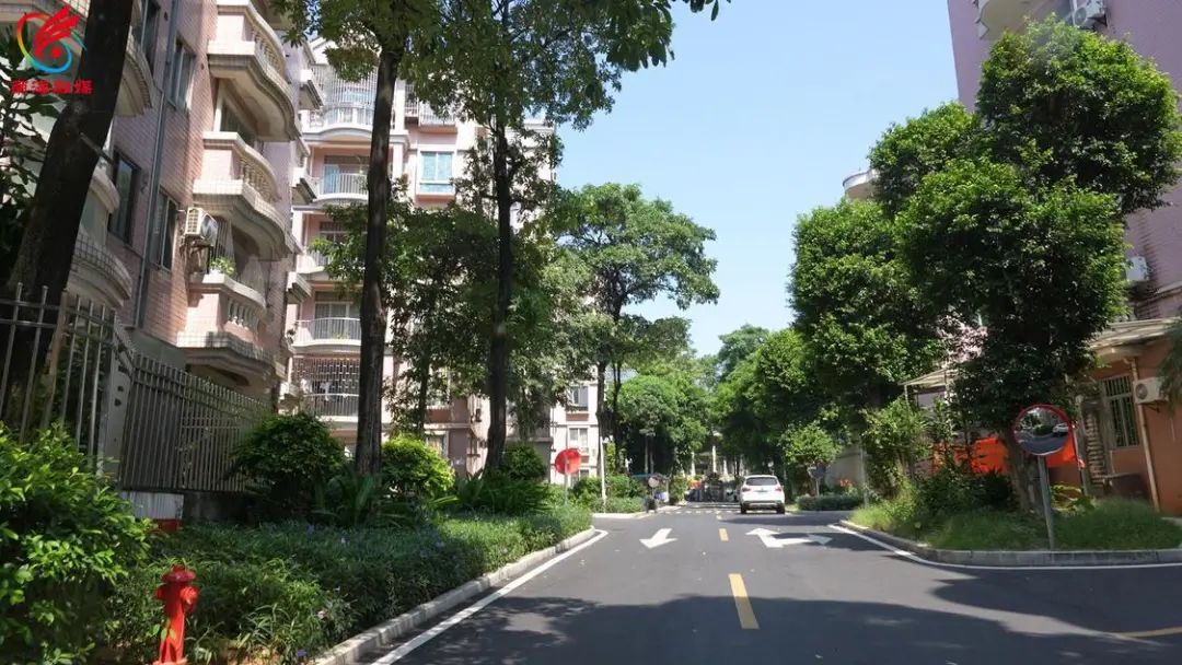 丹灶老旧小区改造，街坊齐叹好幸福！