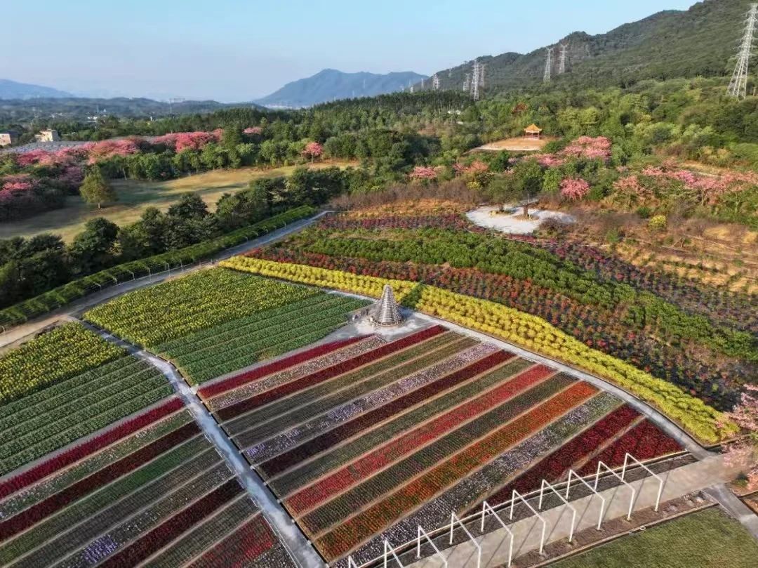 佛山第一宗&ldquo;点状供地&rdquo;项目正式摘牌