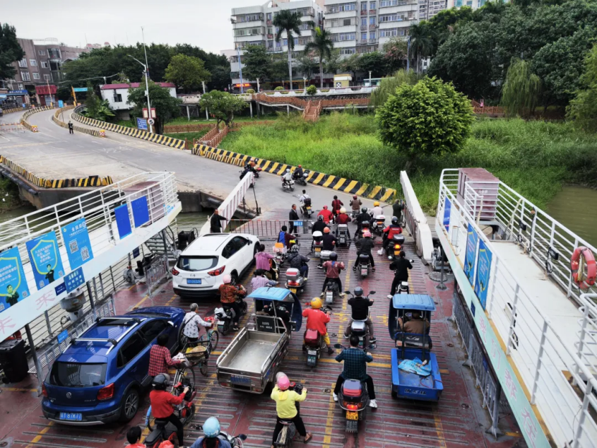 一枝一叶总关情丨旅游生活上下岛，不焦虑