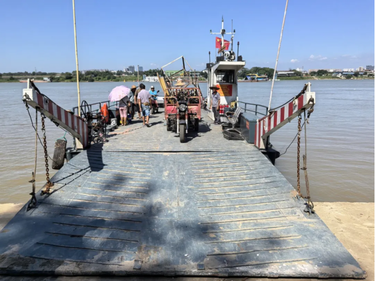 一枝一叶总关情丨耕游绿美江心岛，不愁渡