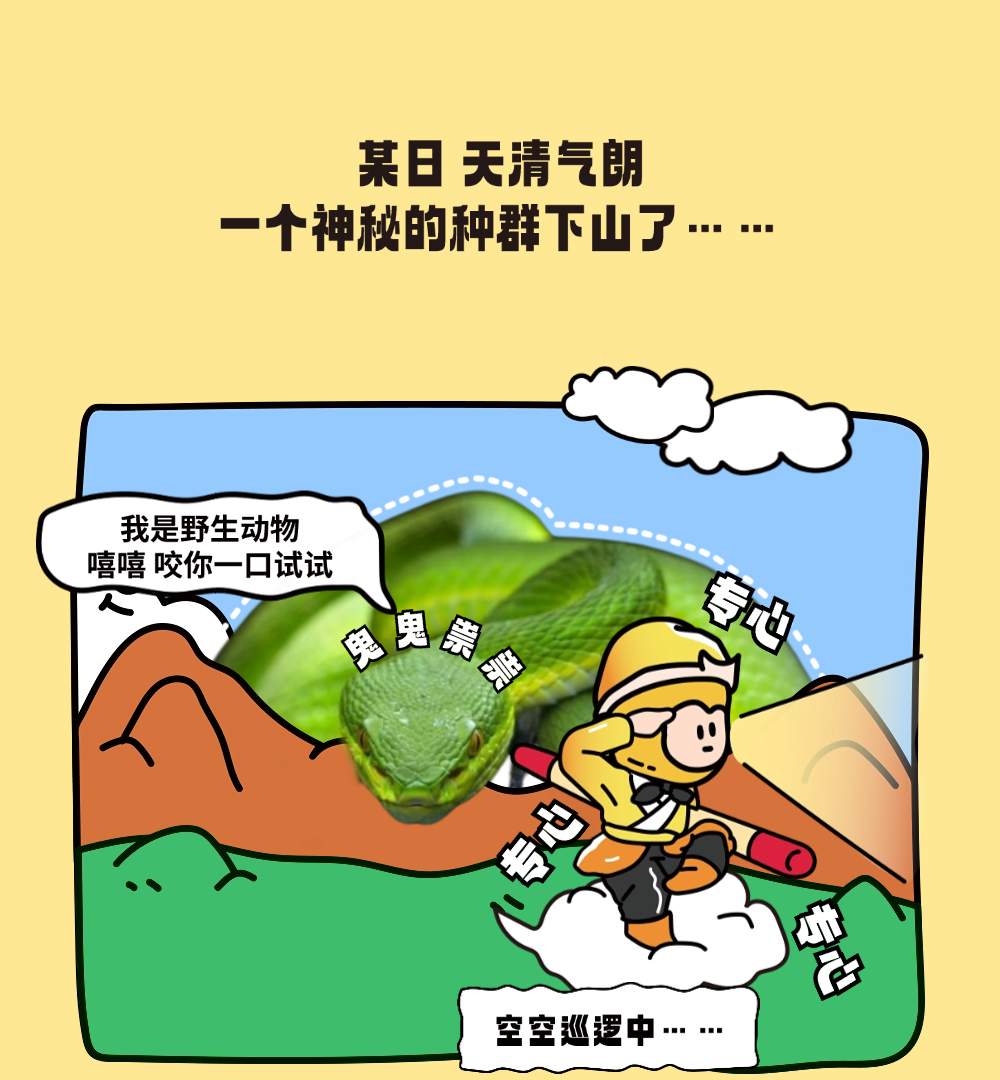 被野生动物&ldquo;创&rdquo;了怎么办？