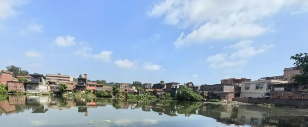 一枝一叶总关情丨塘水变清村变美，有办法