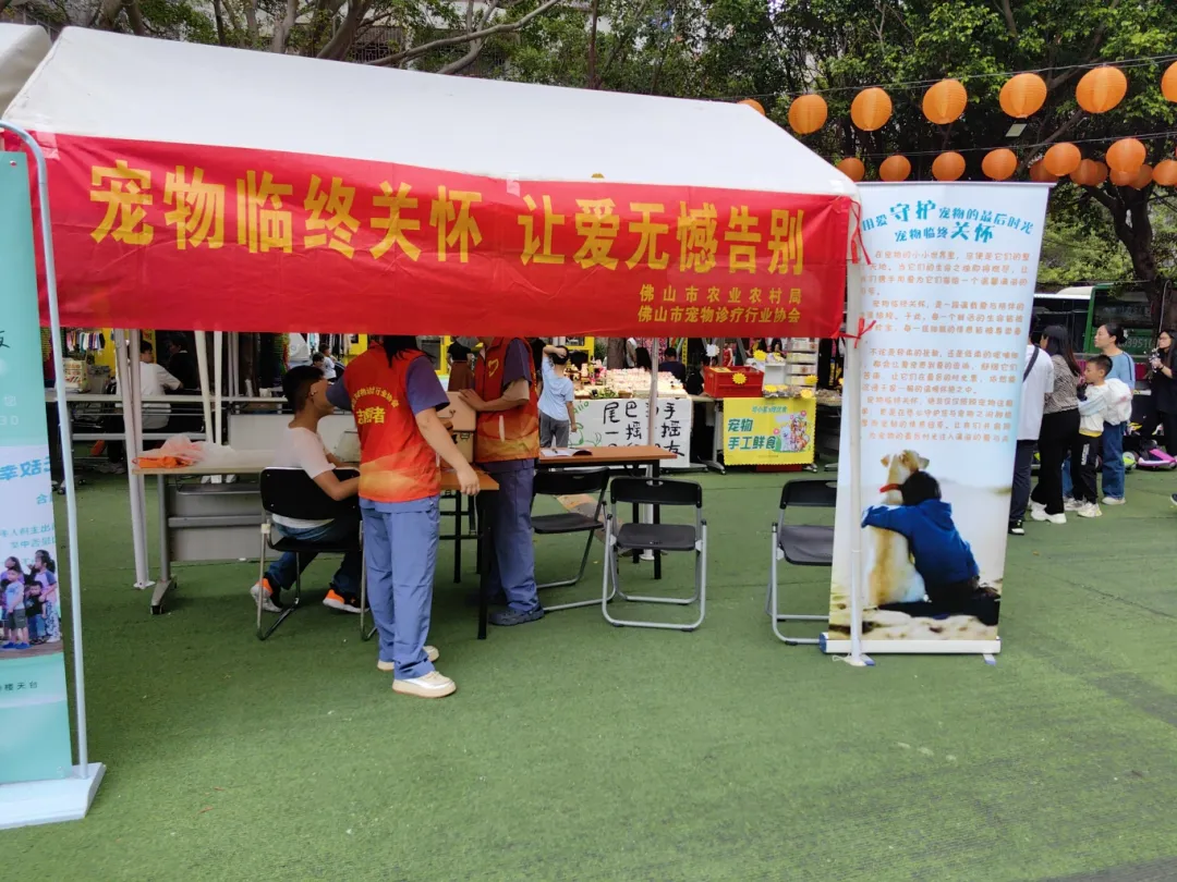 最温柔的陪伴，最不舍的离别，我们如何和宠物说&ldquo;再见&rdquo;？