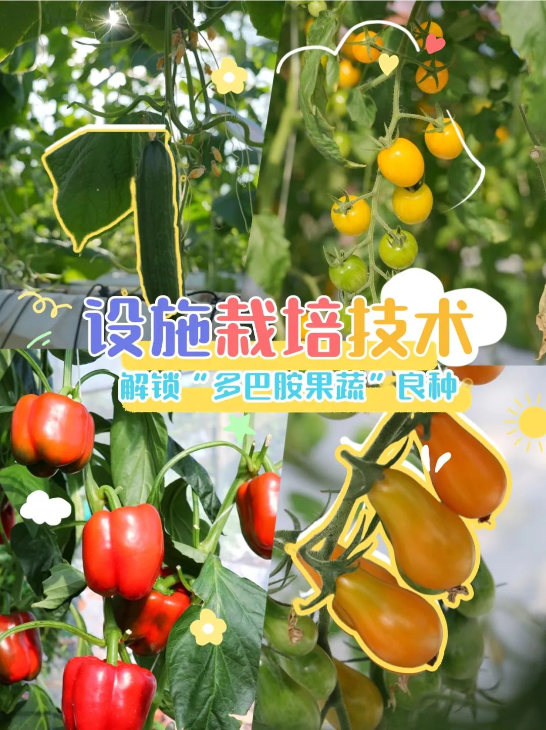 &ldquo;多巴胺果蔬&rdquo;来了！&ldquo;凌空&rdquo;种出来&rarr;