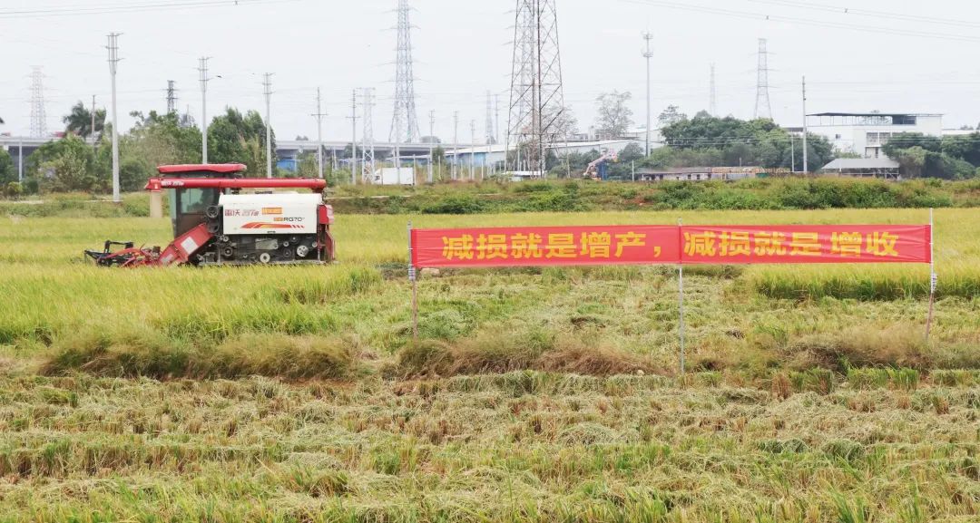 佛山农机手水稻田间&ldquo;大比武&rdquo;