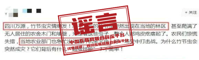 &nbsp;四川万源爆发竹节虫灾情？