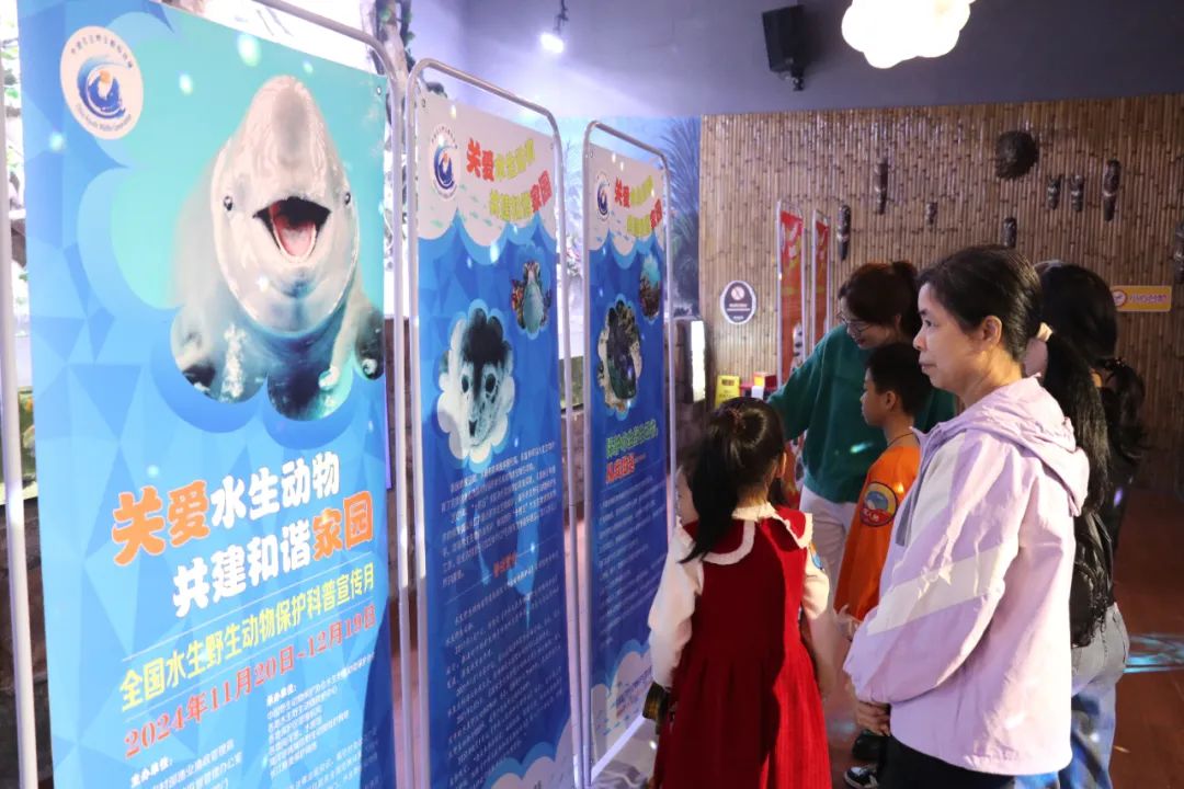 守护&ldquo;水生精灵&rdquo;！2024年佛山市水生野生动物保护科普宣传月活动举行