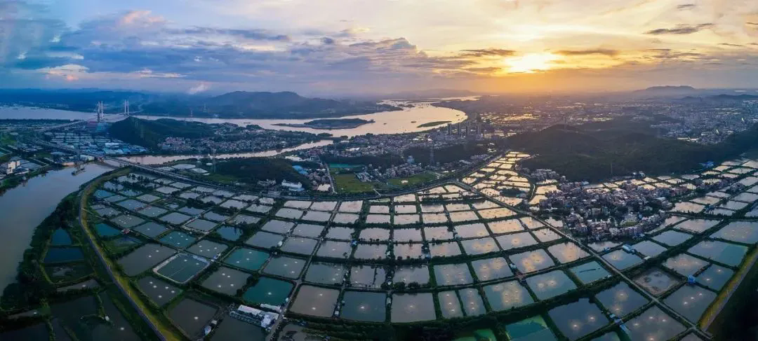 佛山3处上榜！首批广东省水情教育基地名单公布&rarr;