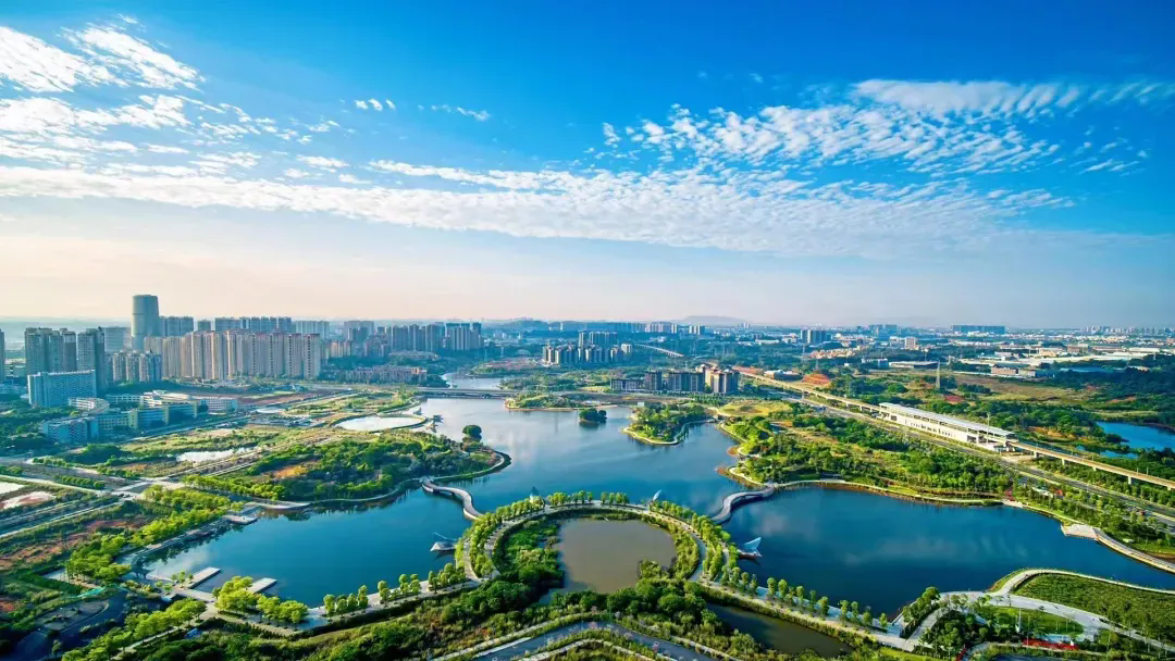 地铁直达！畅游佛山水乡风光，邂逅冬日暖阳