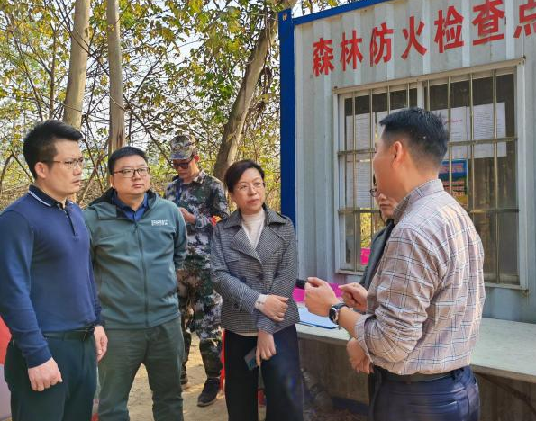 多部门联动！市自然资源局带队开展重点基础设施建设项目节前森林防火和地质灾害防治专项督导检查