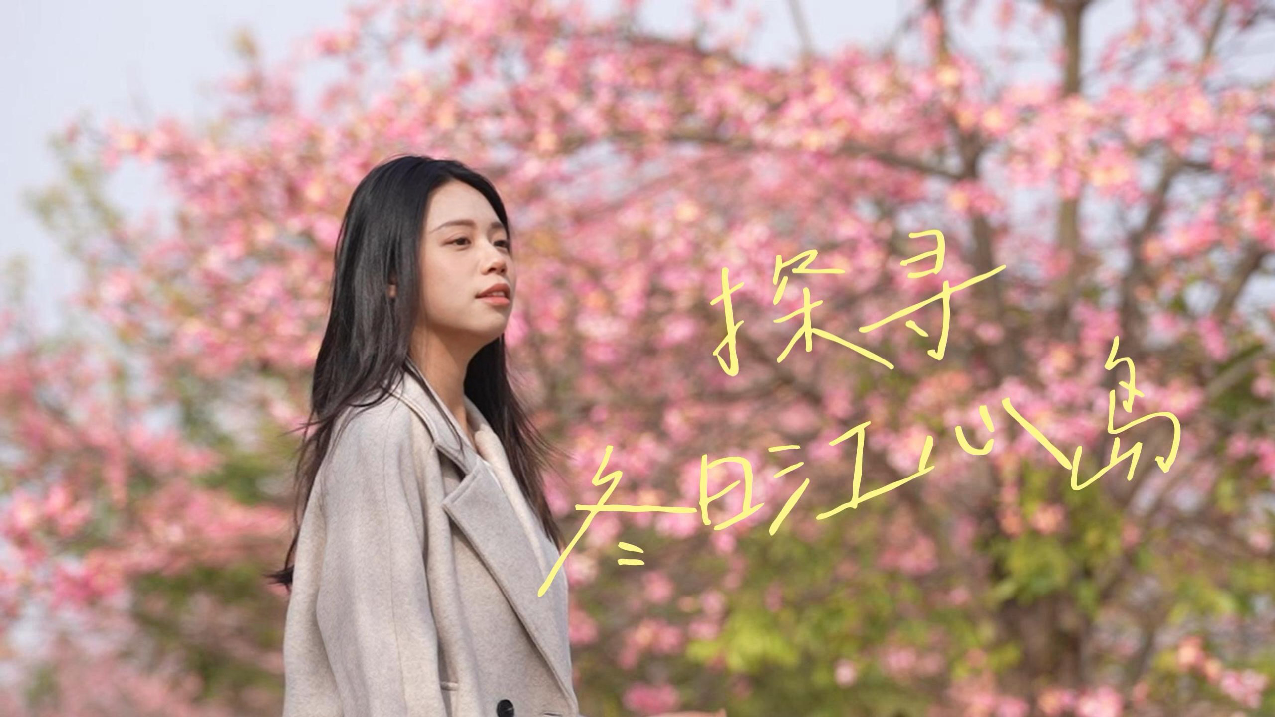 &ldquo;给你一张船票，你愿意跟我走吗？&rdquo; | 绿美江心岛