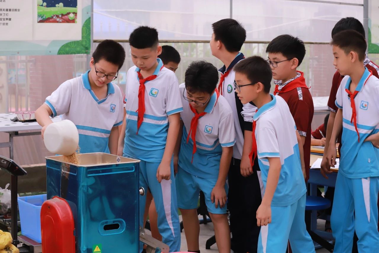 劳动教育显特色，佛山6所学校添省级称号