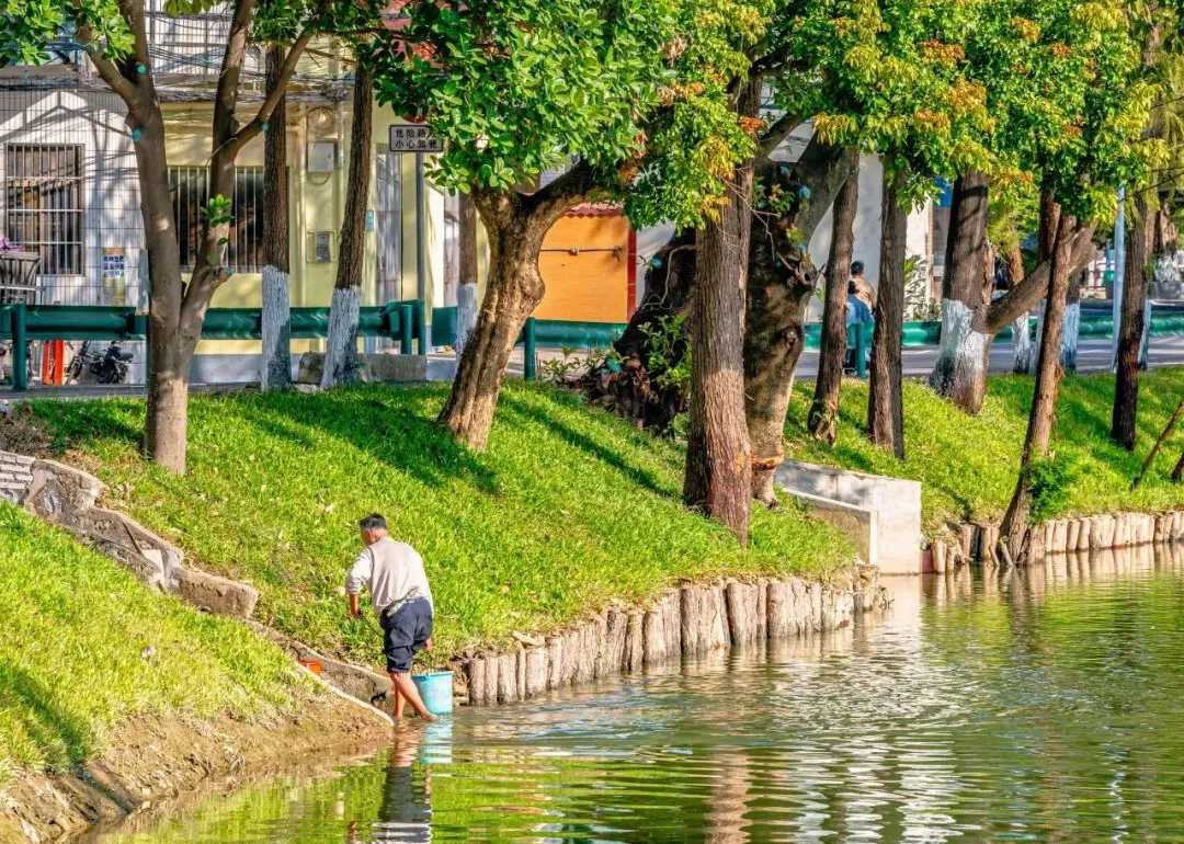 佛山新添滨水环线，&ldquo;惬意值&rdquo;100%！