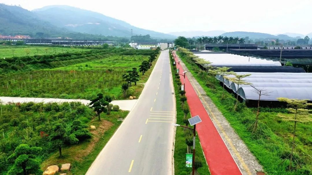 点赞！高明区入选&ldquo;四好农村路&rdquo;高质量发展典型案例名单！