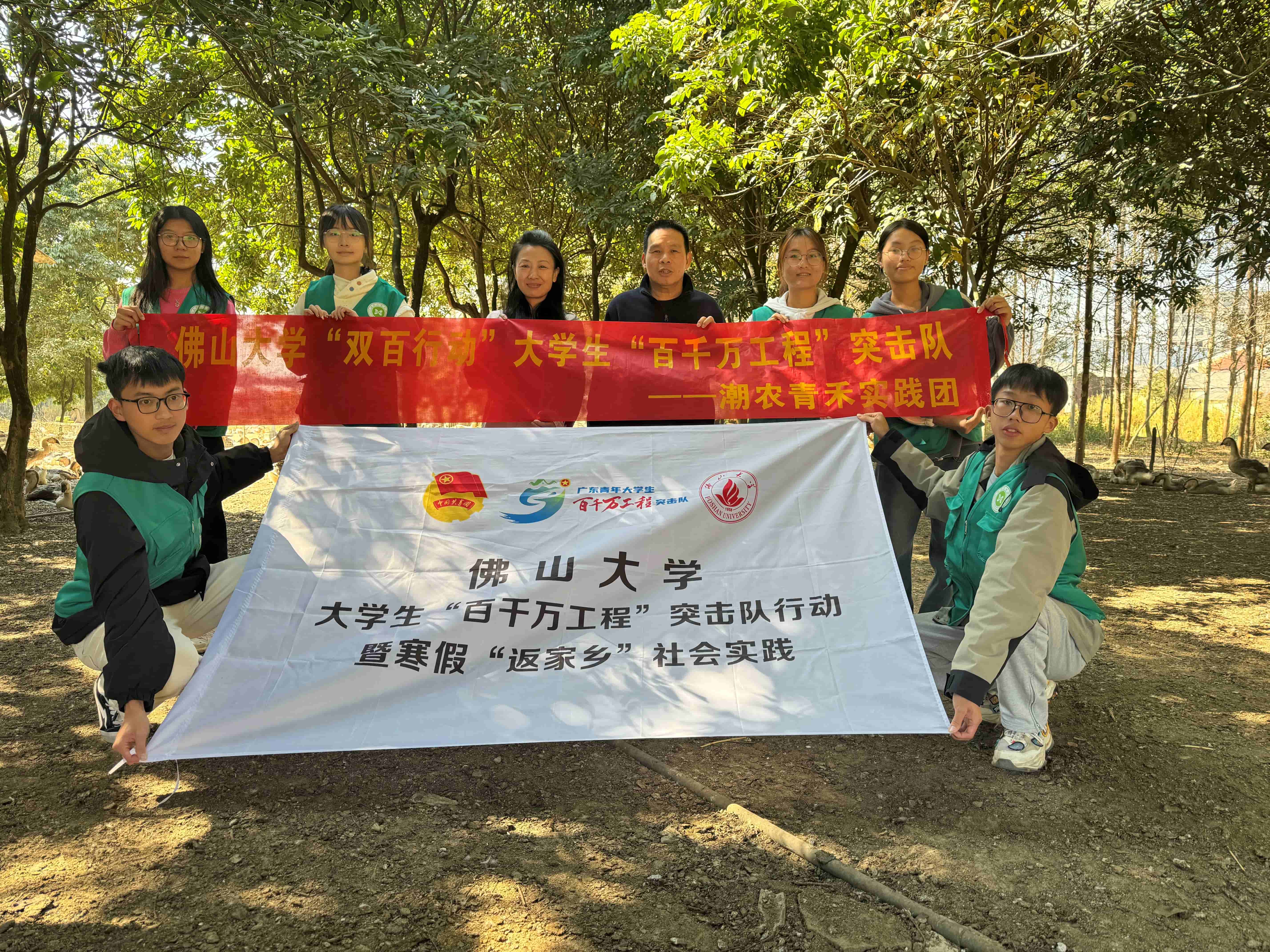 百千万工程｜动物科技学院&ldquo;潮农青禾&rdquo;实践团：狮头鹅蓄势优产，佛山大学慧&ldquo;农&rdquo;乡村振兴