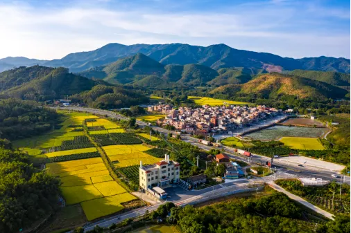 &ldquo;行走佛山乡村&rdquo;小程序上线！一起探寻乡村之美&rarr;
