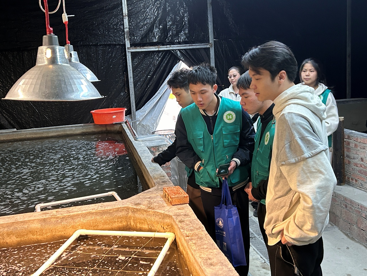 佛山大学&ldquo;渔&rdquo;跃乡村实践团：走进恒强水产，探寻渔业发展新脉络