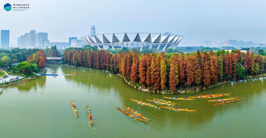 DeepSeek，你是懂佛山三龙湾的