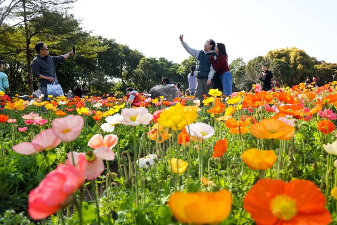 这周的佛山新城，惊喜太多啦！