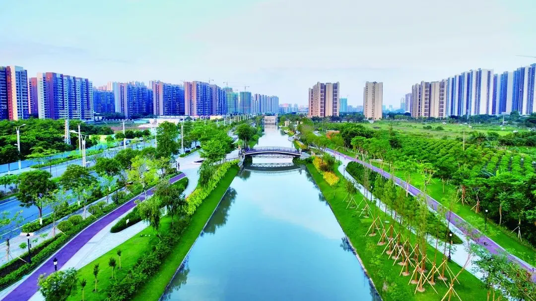 下好治水&ldquo;一盘棋&rdquo;！三水区扎实开展水塘河道清淤工作，赋能城市高质量发展 l 治水攻坚