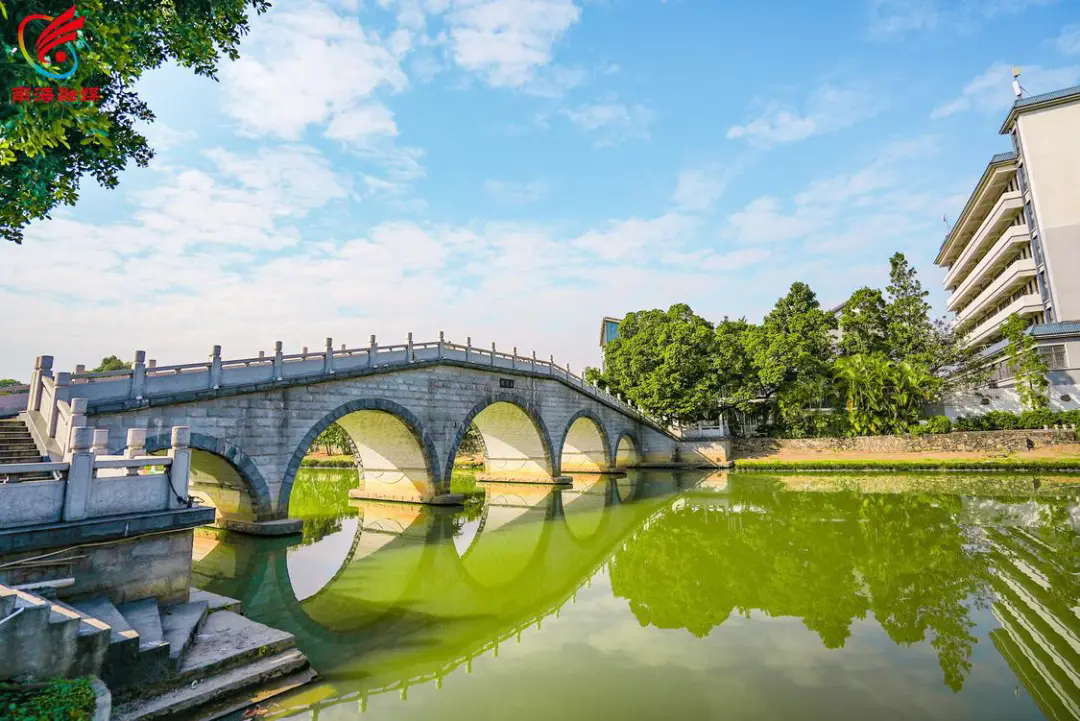 全民治水，扮靓南海大沥水生态底色！l 治水攻坚