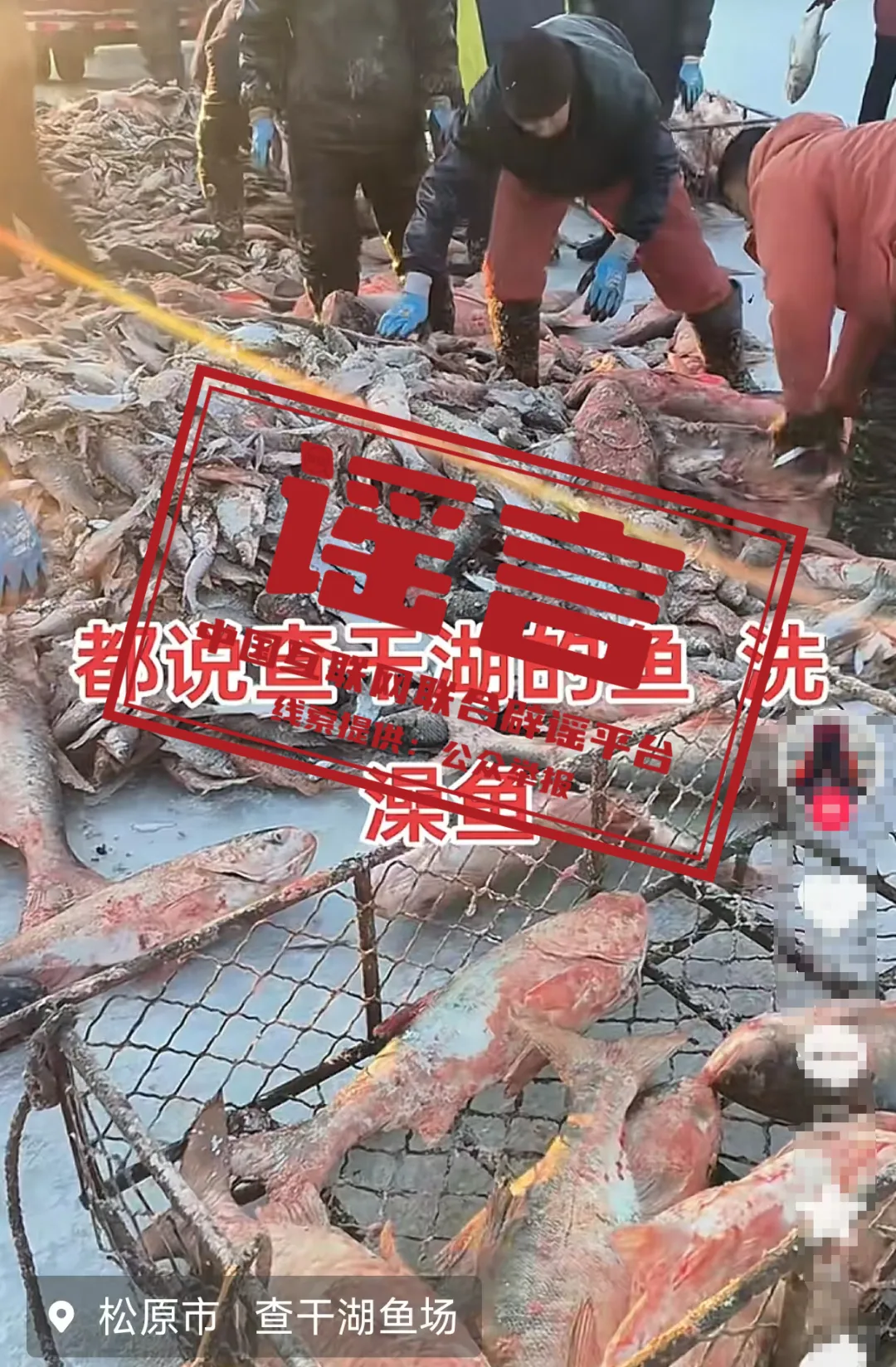 吉林查干湖的鱼都是&ldquo;洗澡鱼&rdquo;？