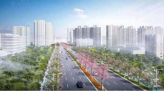 三龙湾交通路网，通通通！