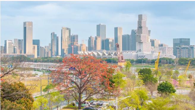 佛山三龙湾，看看看看看不完的花花花！