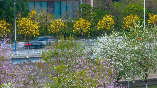 总是会反复爱上春天的你！