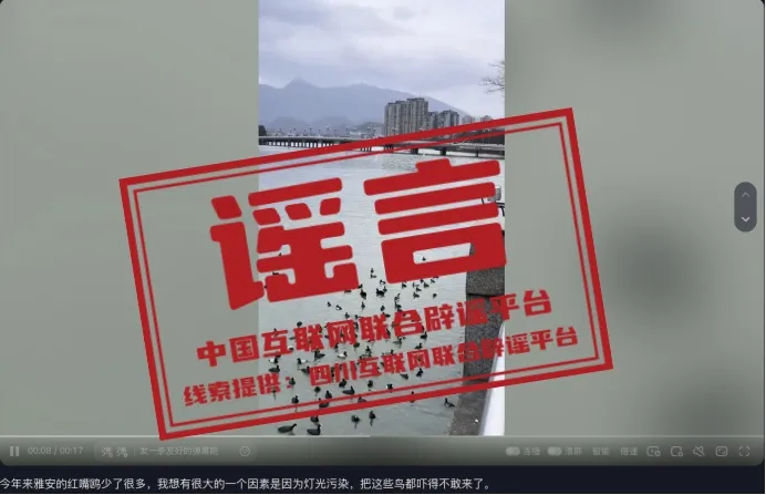 光污染严重导致四川雅安红嘴鸥减少？