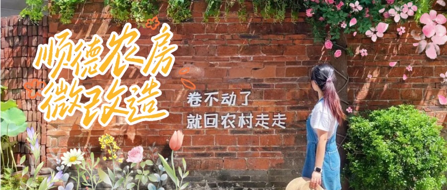乡村焕新颜③｜顺德农房&ldquo;微改造&rdquo; 扮靓乡村展新貌