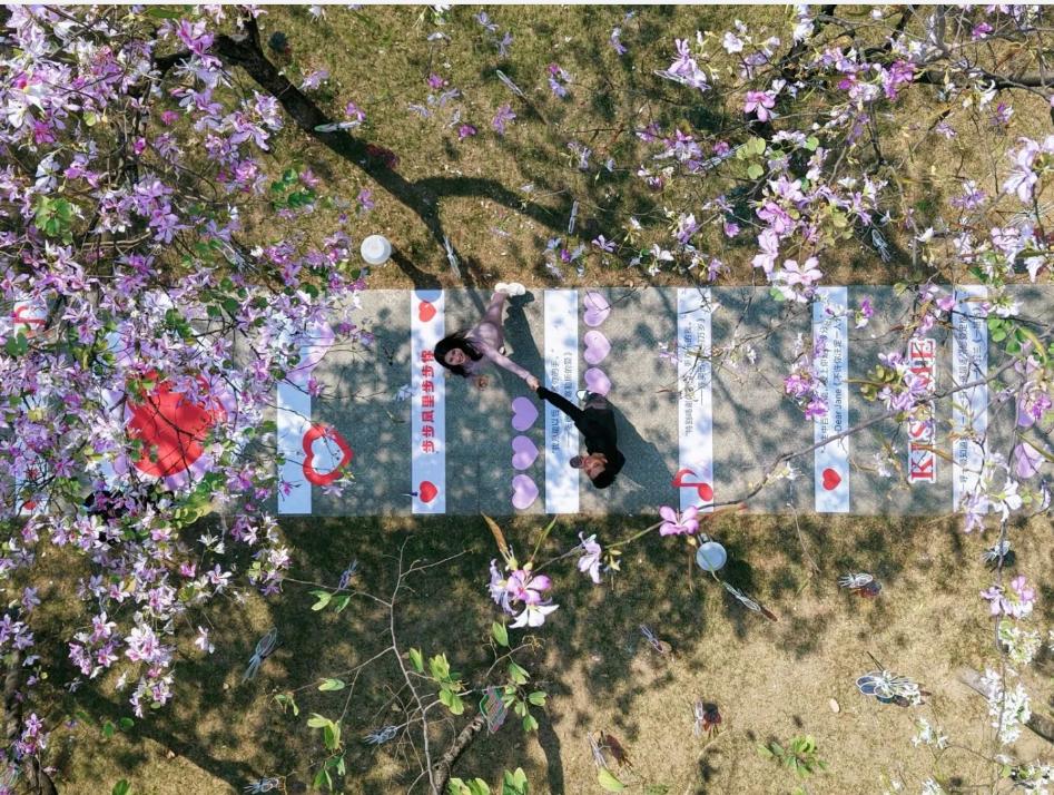 佛山新城&ldquo;高颜值&rdquo;打卡点！快来东平情侣路get氛围感大片