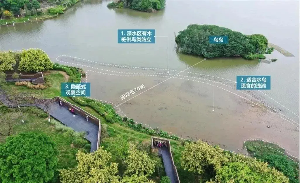 幸福河湖水清岸绿，碧道两岸白鹭纷飞！网友直呼：佛山太美啦！（附&ldquo;打鸟&rdquo;指南）