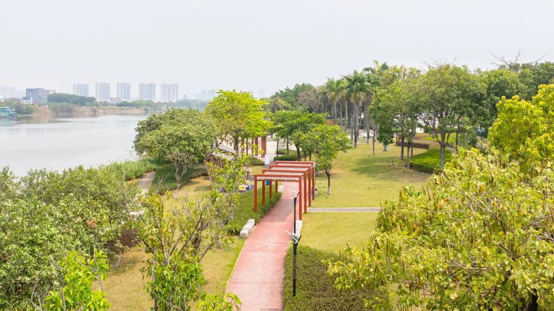 一起去露营！东平河畔这个宝藏打卡地，不要错过~