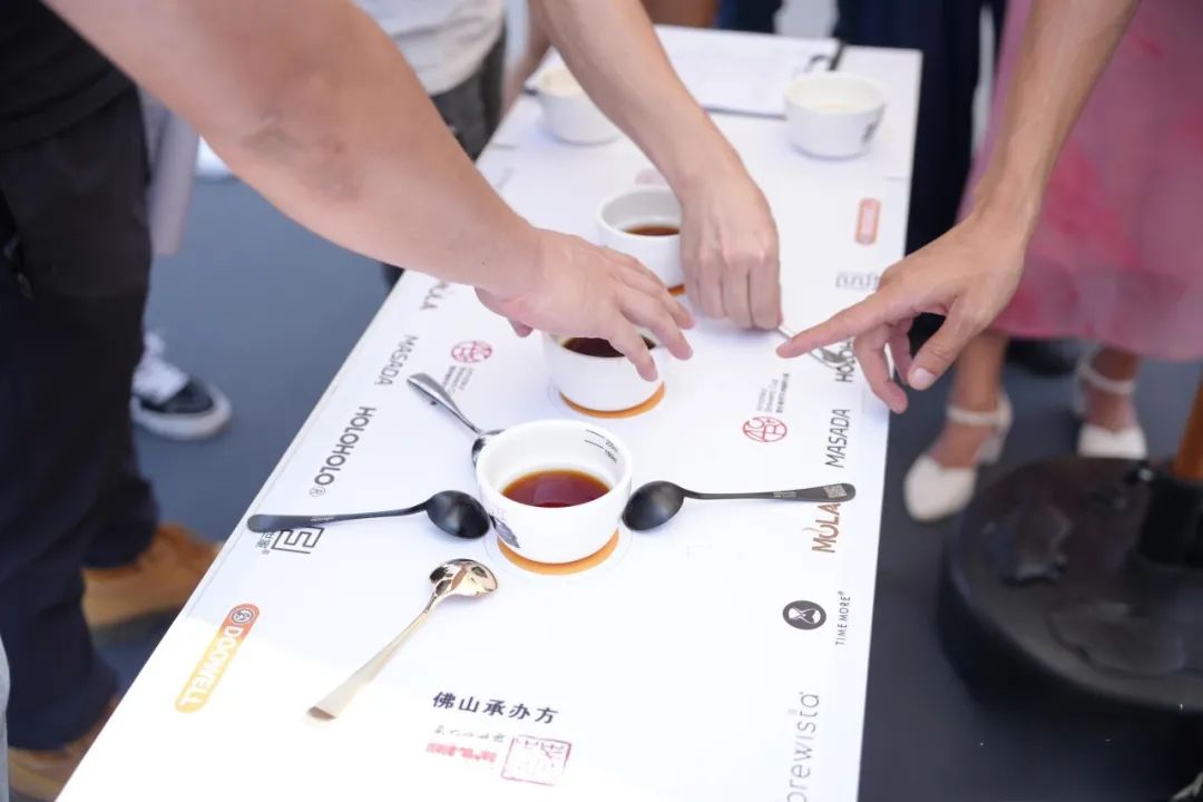 2025咖啡界&ldquo;奥斯卡&rdquo;来了！三大咖啡赛事在三龙湾同步启动