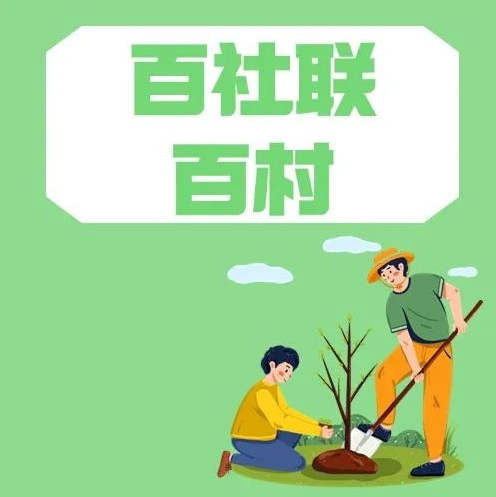 佛山社会组织为乡村全面振兴再添&ldquo;绿动能&rdquo;