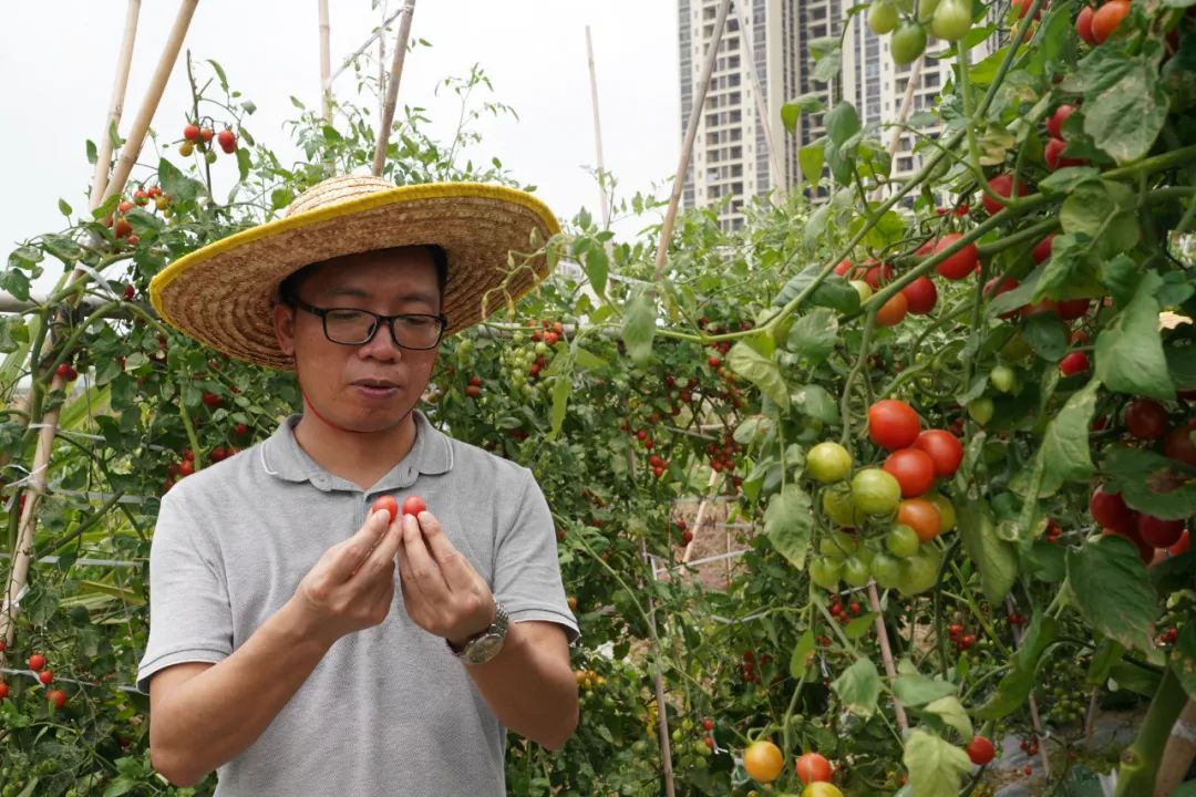 白大褂+大草帽：一位佛山农业技术专家的双重守护之路丨对话佛山&ldquo;新农人&rdquo;③