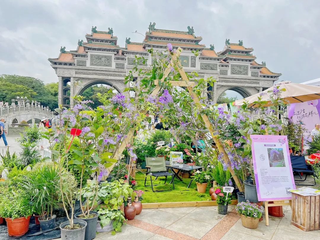 顺德庭院节爆火出圈！10条绝美路线激活乡村 &ldquo;美丽经济&rdquo;