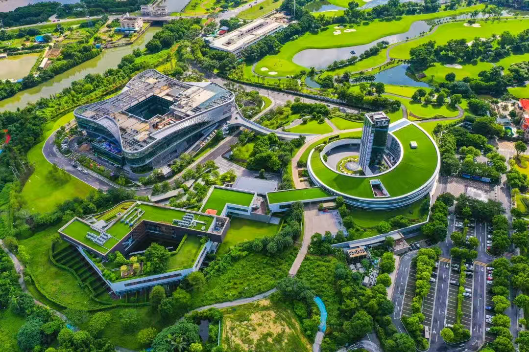 一步到位！佛山推动用地用林&ldquo;一体审批&rdquo;、要素保障&ldquo;一次办好&rdquo;