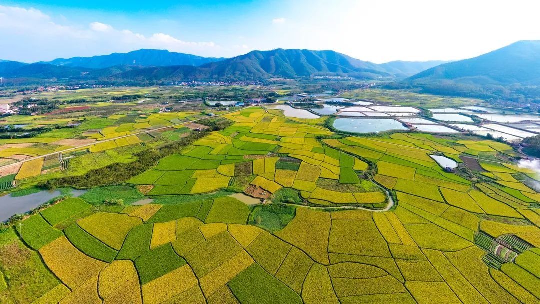 佛山市耕地面积连续三年稳步攀升